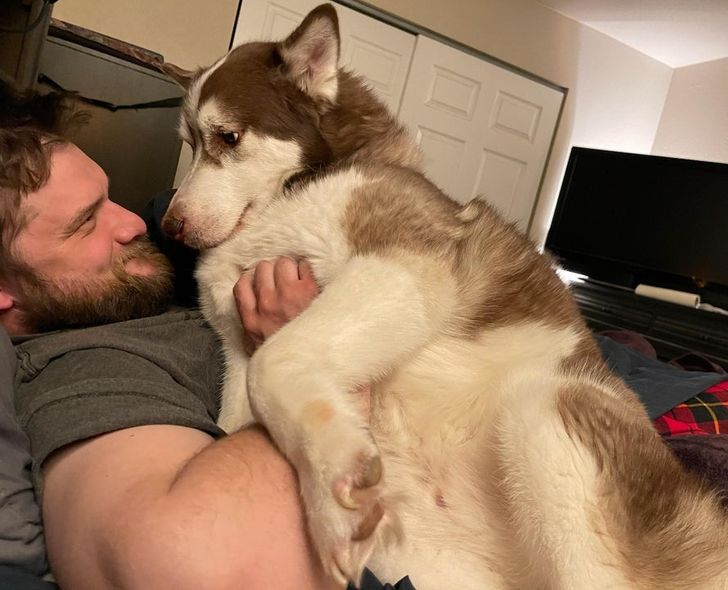 efdc675e20a3b8ff411b628177