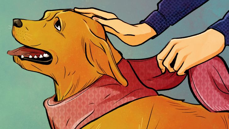 efe3e95b9cb3c7136acc473cfb