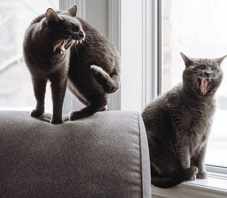 efe75c5d7080acd06f5097df44