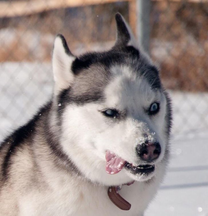 efeb58550690c430b8a879e9cf