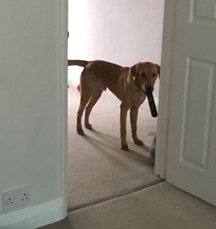 eff27856e8acfbcaf13eea3d45