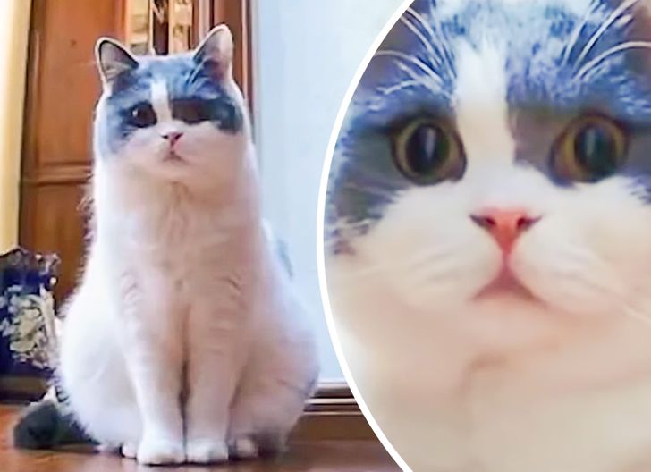 eff3c458feb3833f7e7e8bb378