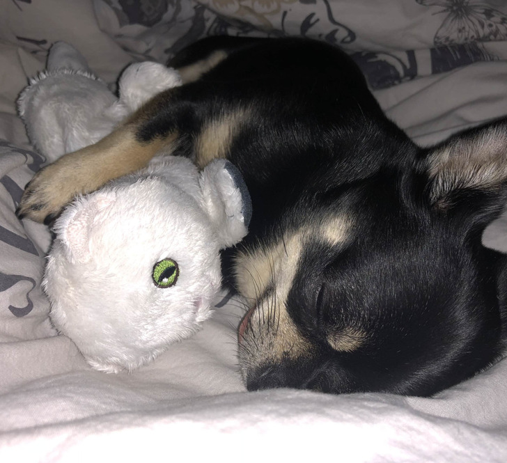 eff99c59b28e2dae134d89a5c3