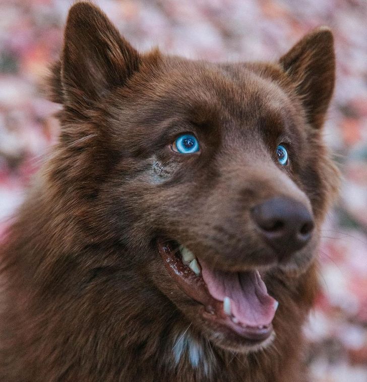 f001a552cb8ccdc8f7c8d5f44c