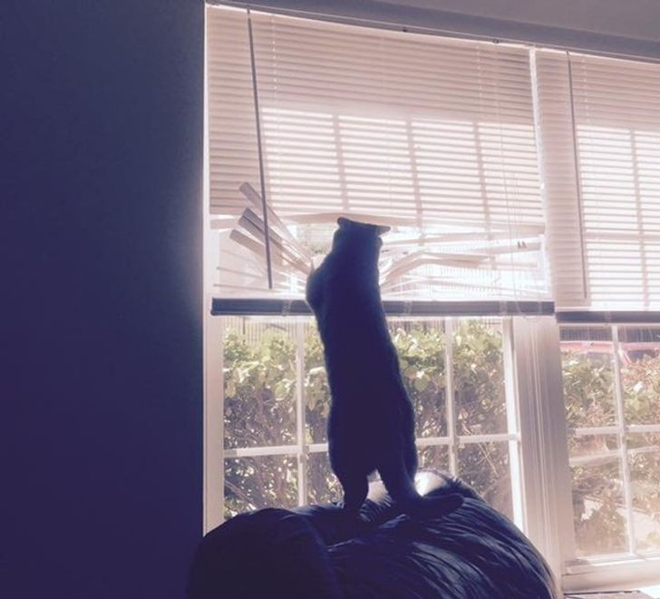 f010d15928ad50262564137e6f