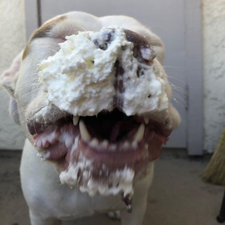 f01a795d9e95414f18788463d6