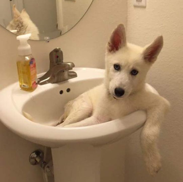 f02467591988fc3a398fd43cb3