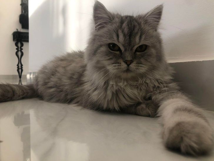 f0277d5a1d837b00211cef2465