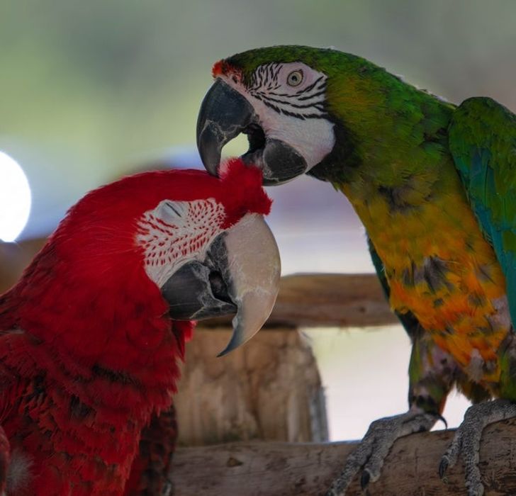 f02a33538bbfa4b9d28eaf59d9