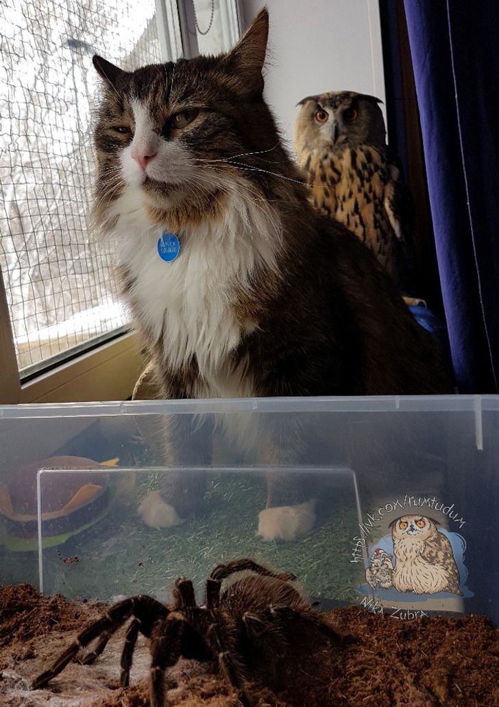 f02c5a5cc292bbb9ad959a0d45