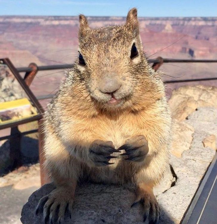 f03294598b8dc7b1411493e144