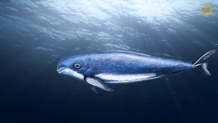 f0335153b5bd93116432639e9d f0335153b5bd93116432639e9d