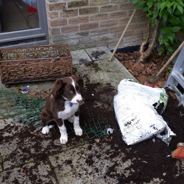 f033c357a180ad8eac3e276cd7