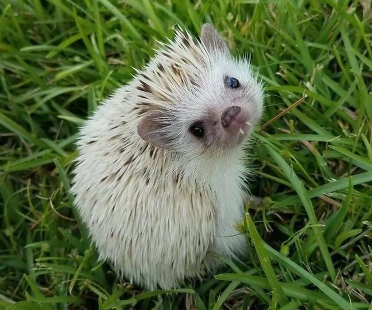 f033e150ce89fe6a519dcb8b42