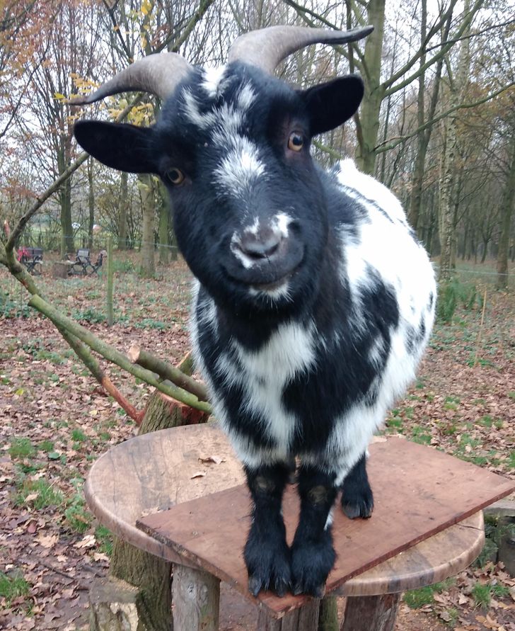 f03e0e5d1586baa2ab5bde64e8