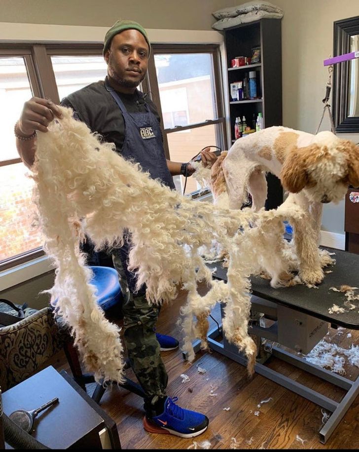 f04fae5eb4b5cb6a11af374c3d f04fae5eb4b5cb6a11af374c3d