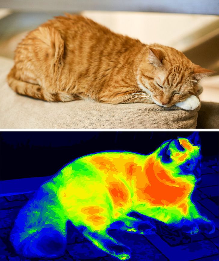 f04fd65b428e0cad21c65ac6cd