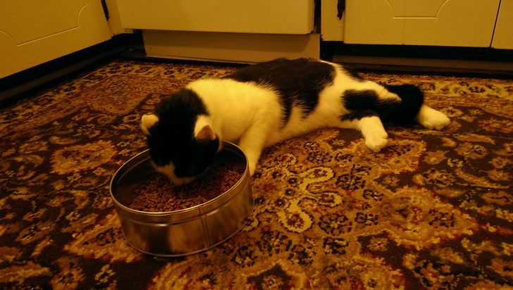 f0552d5733981ee7ca5eb0bd7a