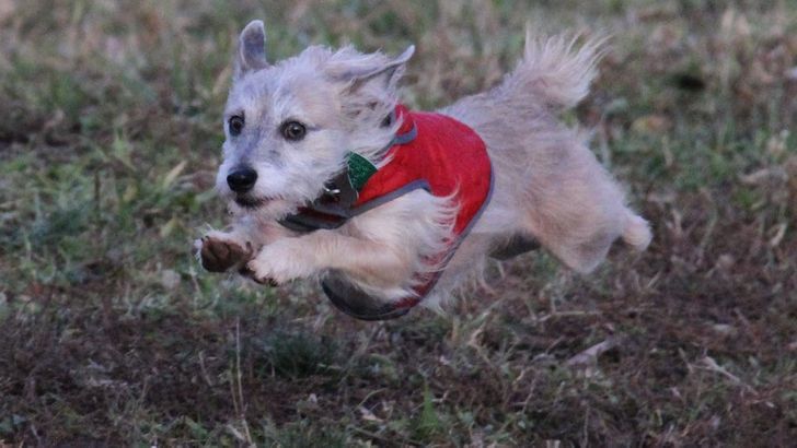 f05b445a0d9d23ccb20ff6d4df