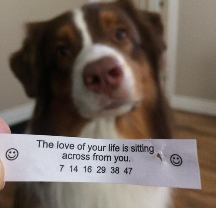 f060a25a29a2c6a23860a85e2e