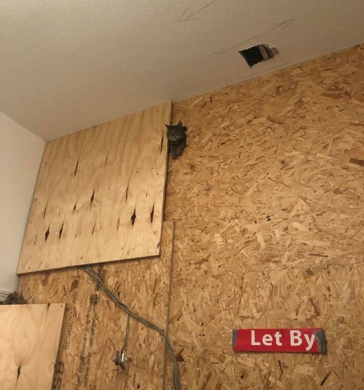 f064325fe780f841b06ac22df1