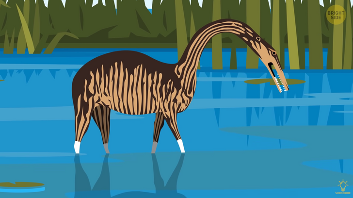 f066065726841f8d2899e741a5