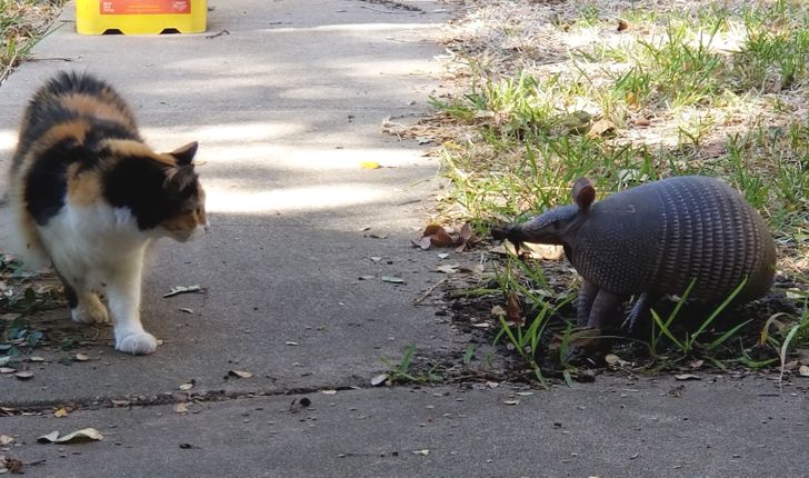 f066115a88a25bc40743e585a5