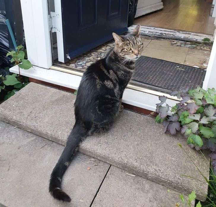 f06efc54e9a3450aafda0e735b f06efc54e9a3450aafda0e735b