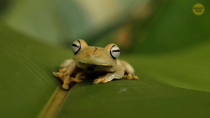 f0701b5b48bba4a689253e801a f0701b5b48bba4a689253e801a