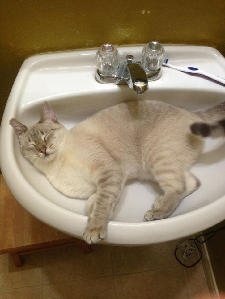 f0767f53219694b2f0c4929730