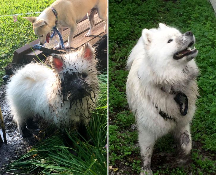 f07b79536794990bbba11b9b62