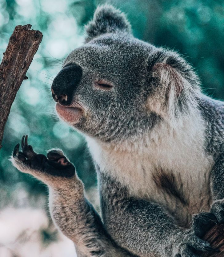 f07c2d51879d78da91ceb59cdf