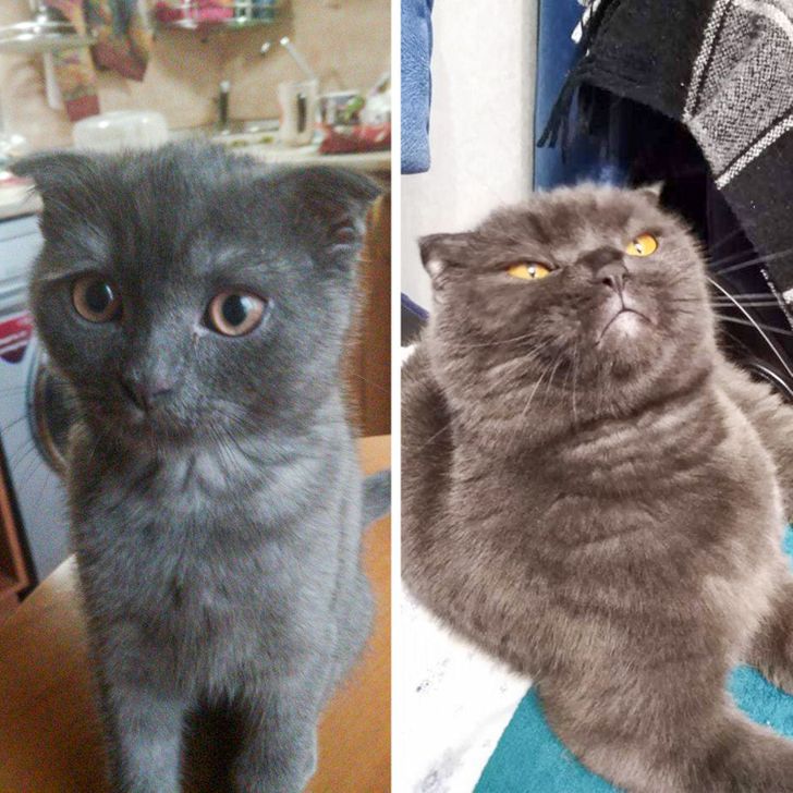 f083ca5b0aa66441886858c1cc