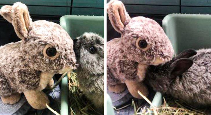 f0880c5799ab2175c18b6d5a08