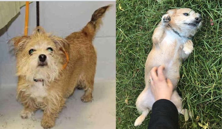 f08a86520bb28032fb9e8f9473