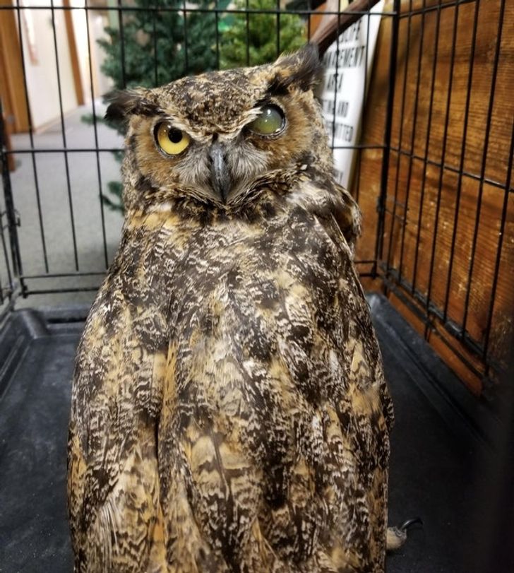 f08c445a59ac9e7be0fbf203d3