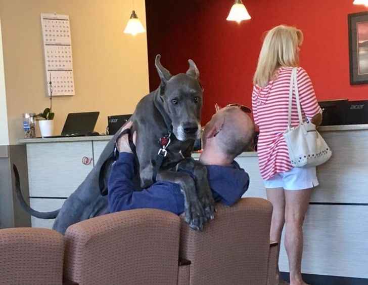 f08ce85ee9bd93abe8abdb8a98