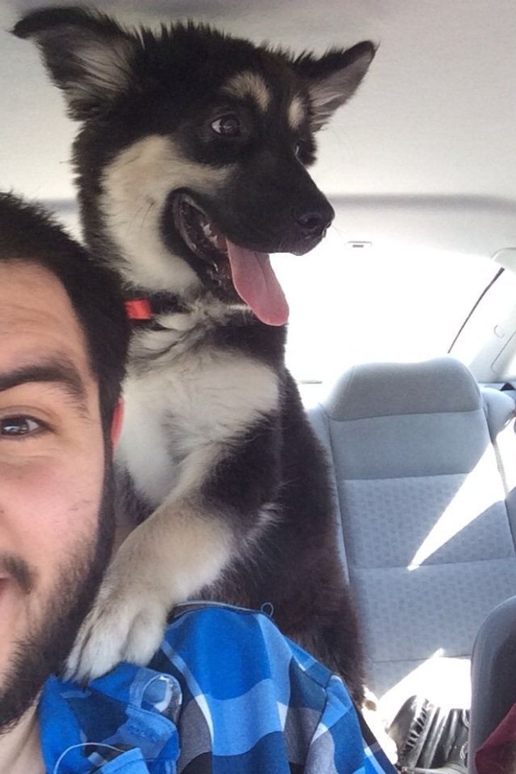 f0aa025742af039fcded89f950