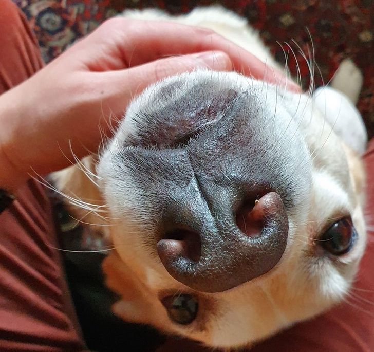 f0bd395eb7b1bf8db4674761ab