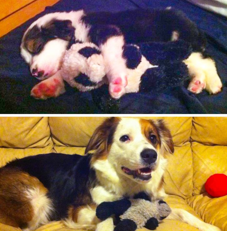 f0be3353ca9c76f00761ef2682