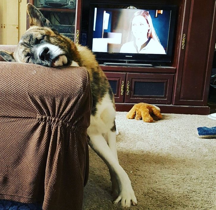 f0c2b958738183eb23c511a02c