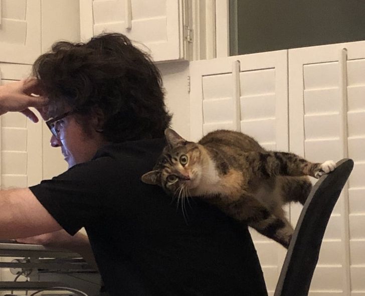 f0c4285a71b065a08c5ec0c9a0