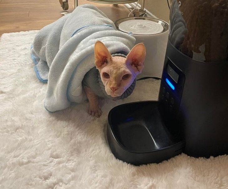 f0c6a85b3db6dc307c9a246202 f0c6a85b3db6dc307c9a246202