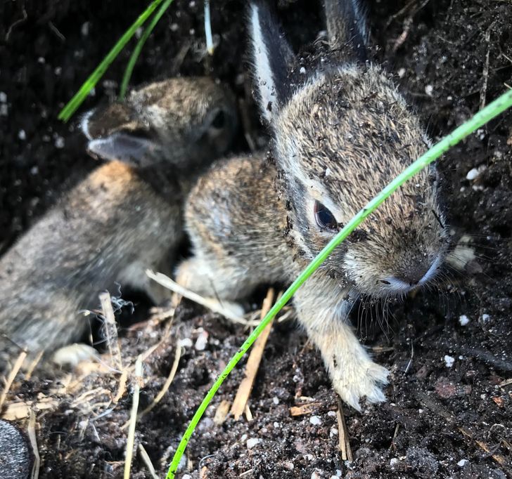 f0c7f85c6fa63996e9f680c7c1