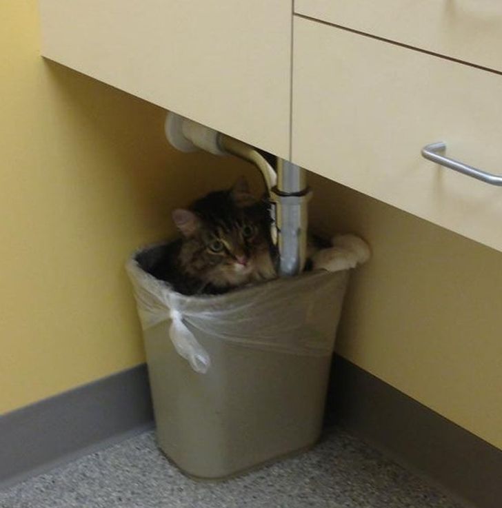 f0c8355a1ba18339d27143fa9d