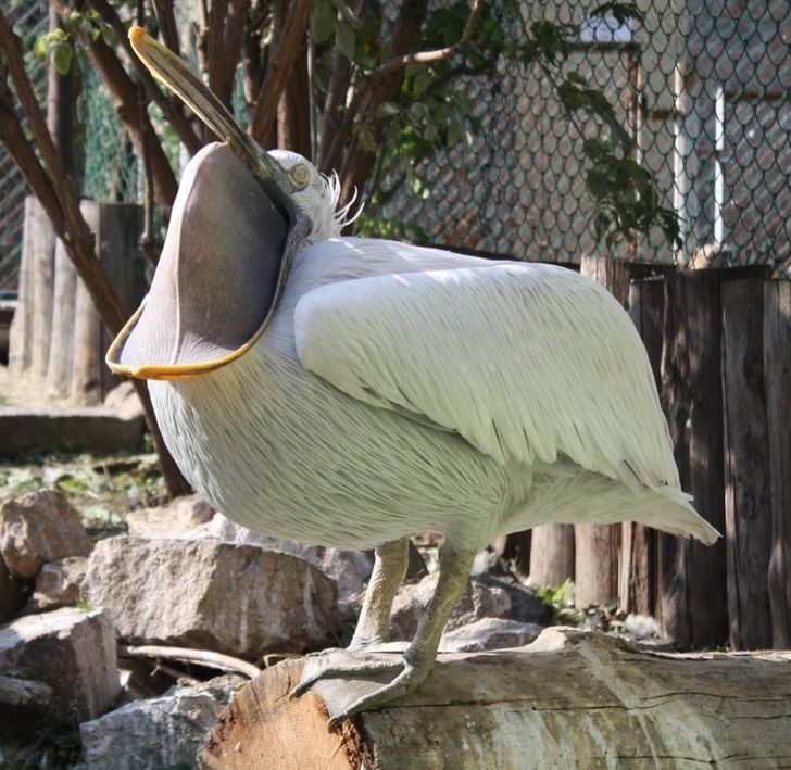 f0caa7506893cf626ac4898023