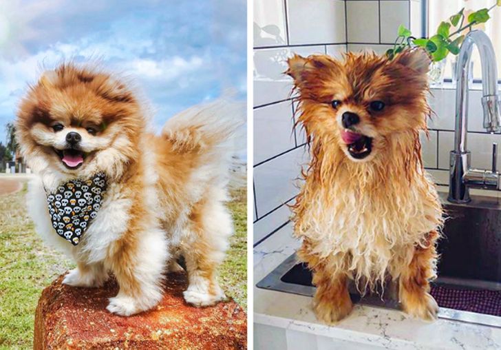 f0cc9257229936bd5b52ca9b5b