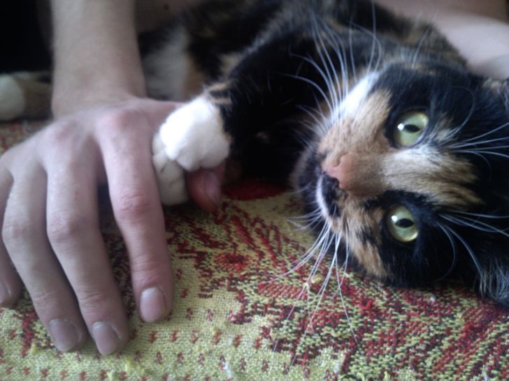 f0ce5b54cd90aef6b8d6eb9971