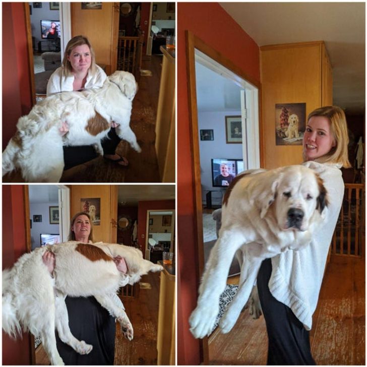 f0d0a75de386cbeabcfb9e3344