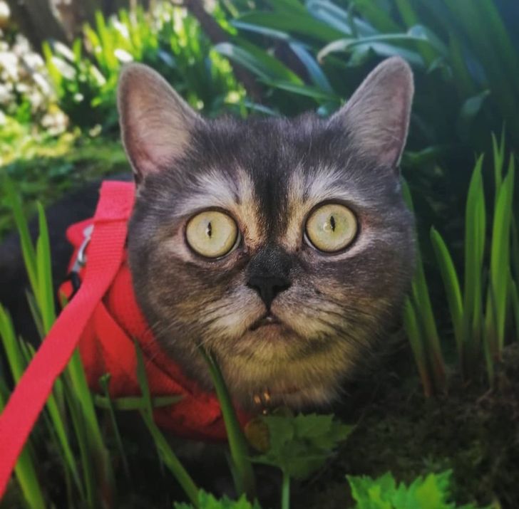 f0d0af5e0f849fd35df0d458b5